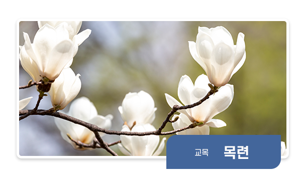 교화
